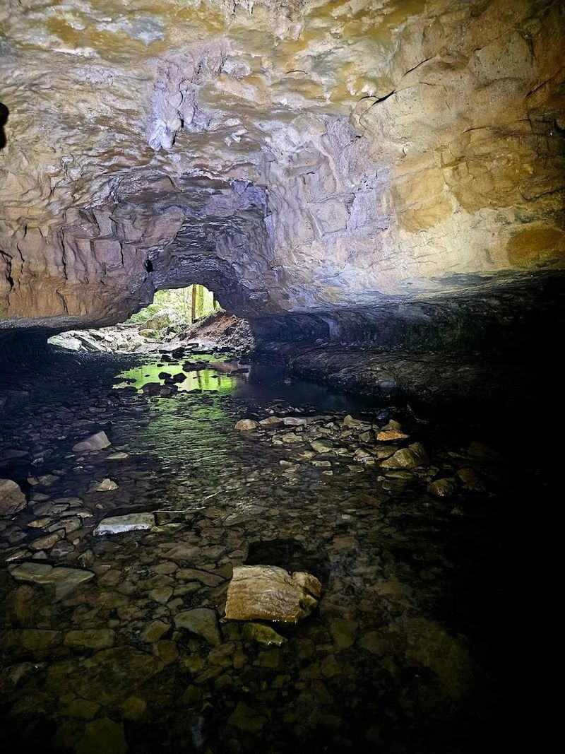 Bat Conservation And Why The Caves Are Closed