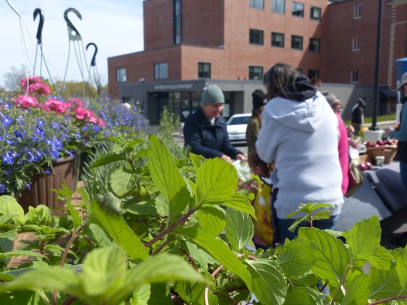 Food Access Programs That Make A Real Difference