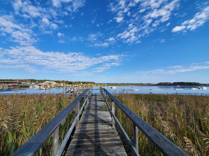 Pathways For Exploration And Serene Reflection