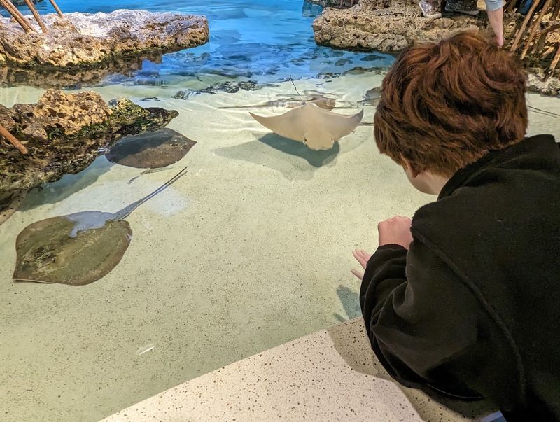 Touch Tank Thrills