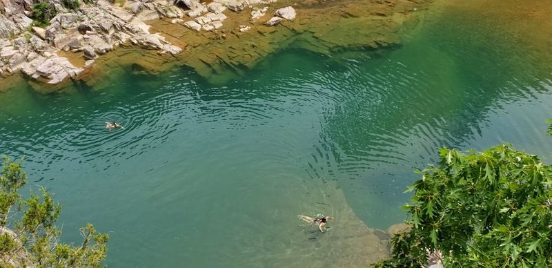 Wildlife And Nature Surrounding The Water
