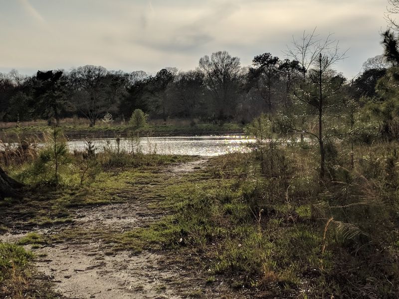 How Visitors Can Safely Interact With Nature