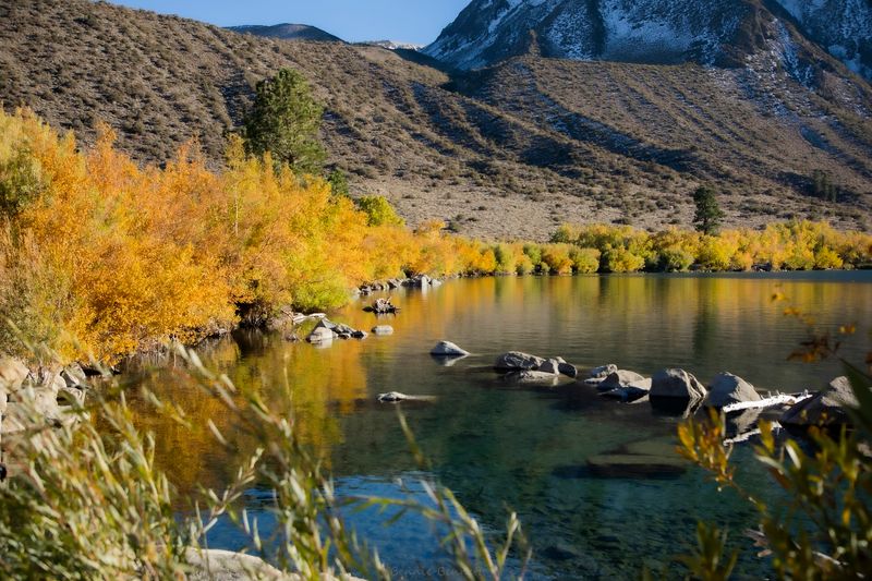 Tips For Responsible Recreation And Preservation