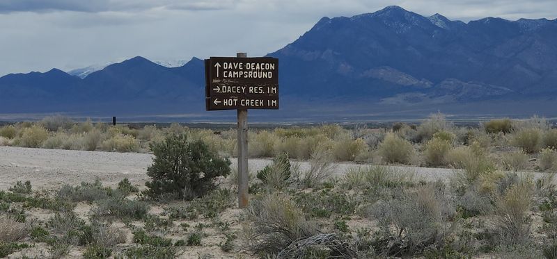 Wildlife Surrounding Desert Springs