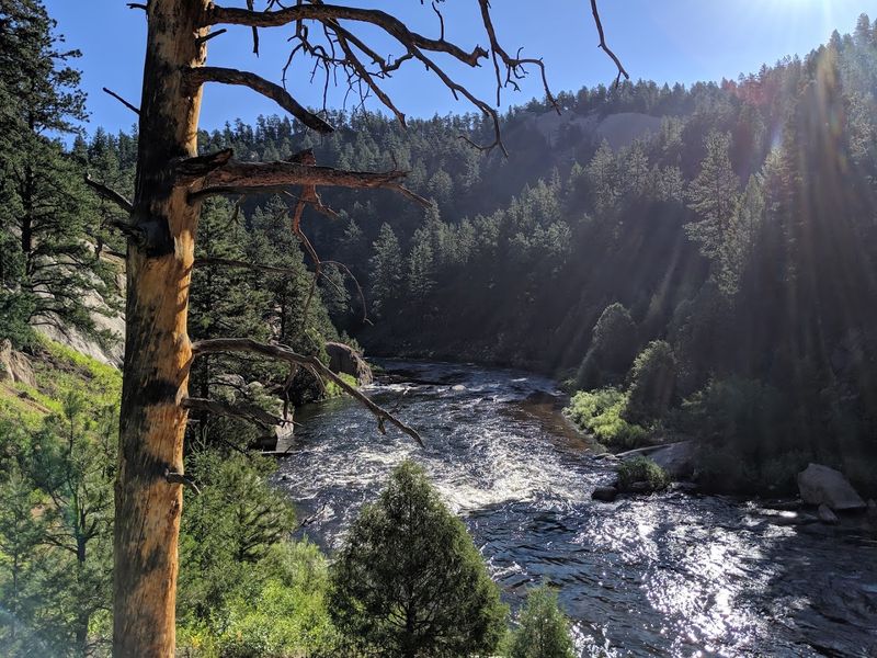Conservation Efforts For Colorado Trout Habitats
