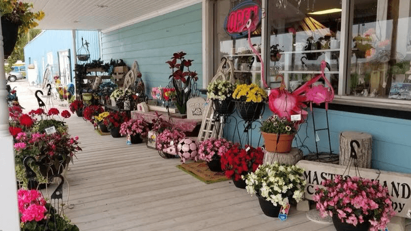 Fresh Flowers And A Few Surprises Along The Way