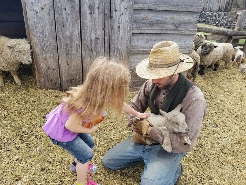 Animal Care And Husbandry Techniques