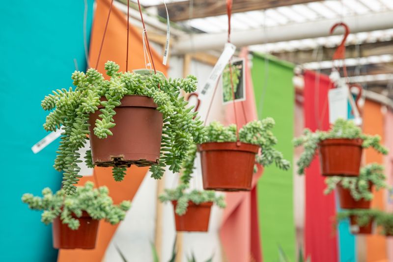 Innovative Decor Ideas To Inspire