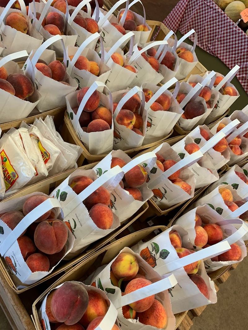 Sustainable Farming Practices Enhancing Fruit Quality