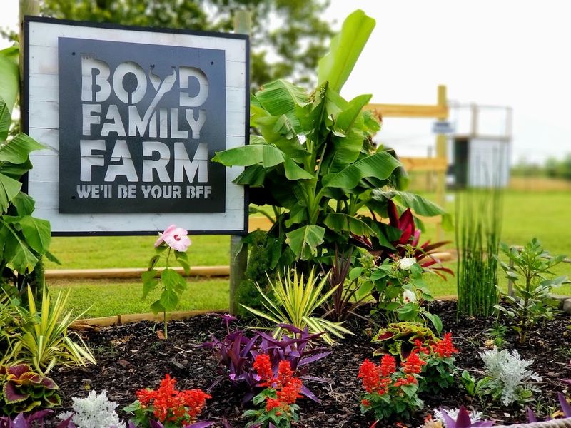 Blue Leaf Barn Event Venue