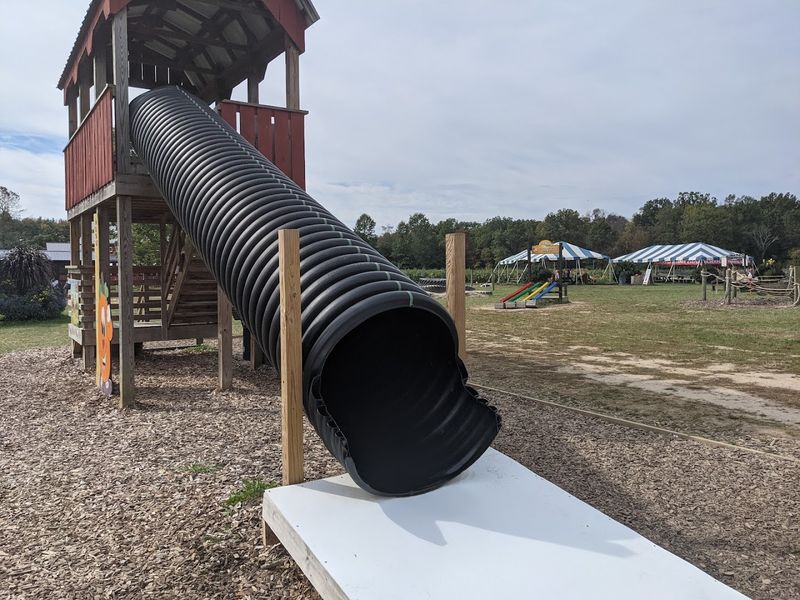 Family Friendly Activities And Entertainment