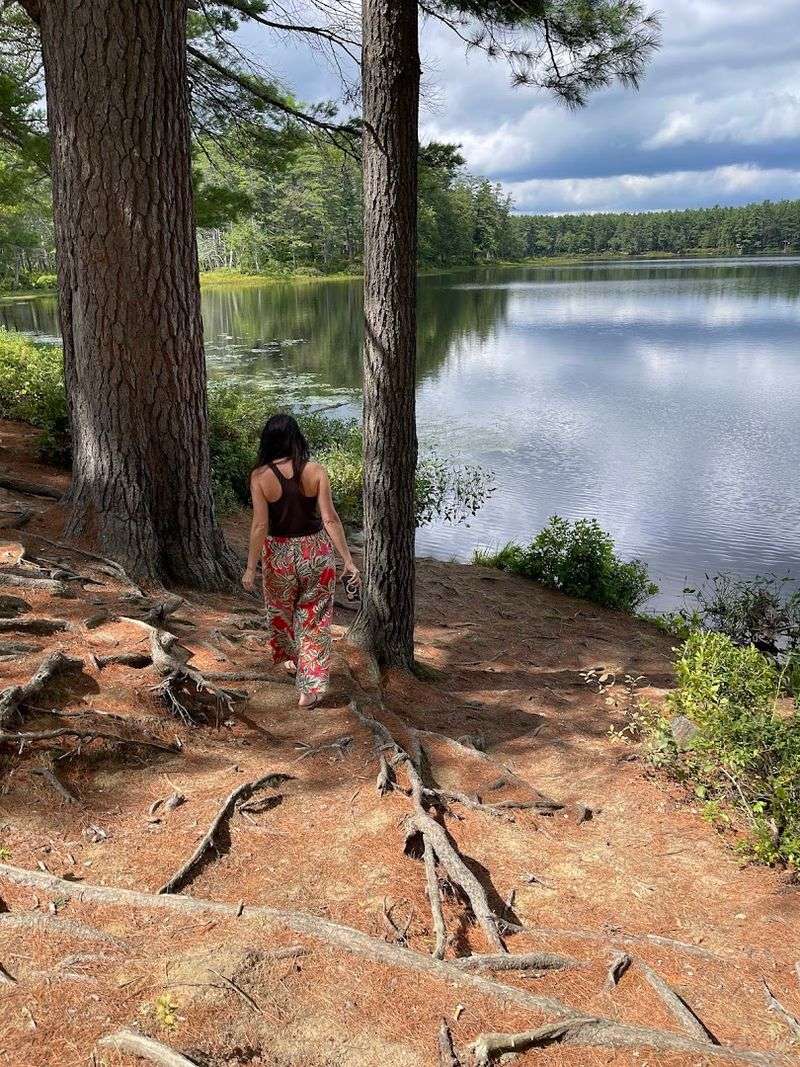 Trails Into Wildness