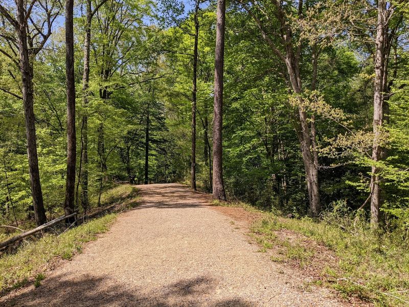 Hiking Trails And Access Points Nearby