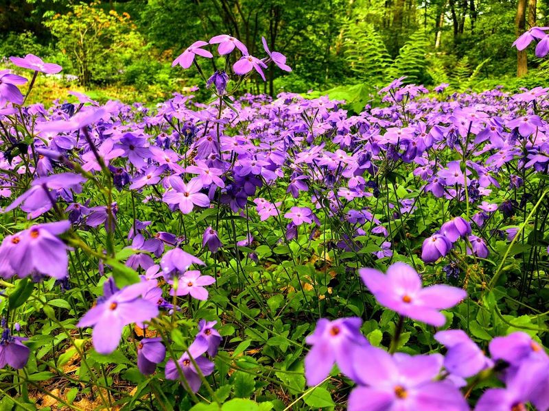 Hidden Natural Wonders