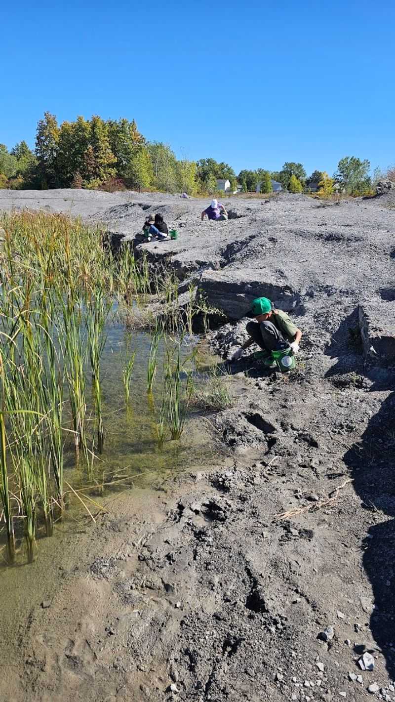 Penn Dixie Fossil Park