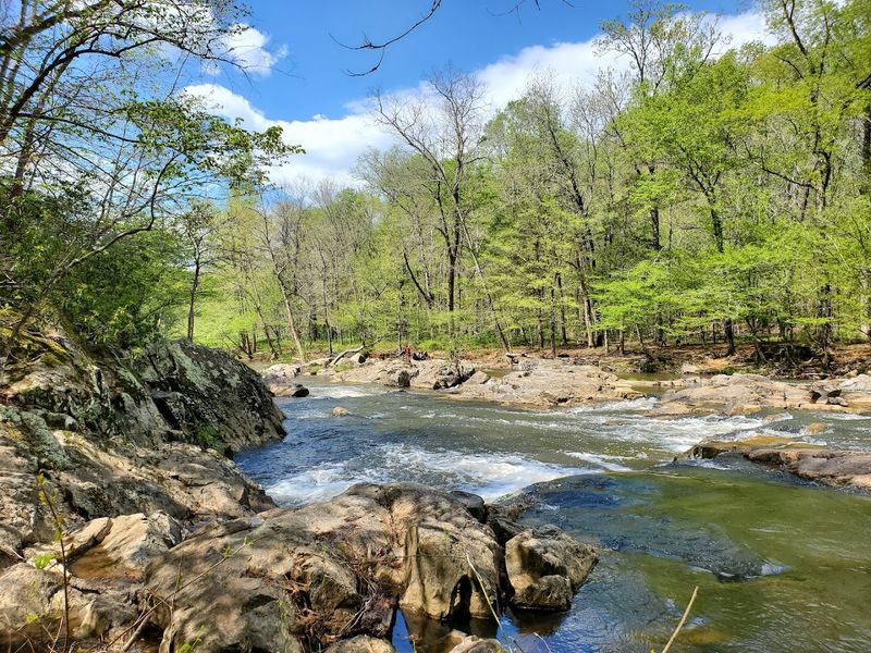 Swimming Holes Worth The Search