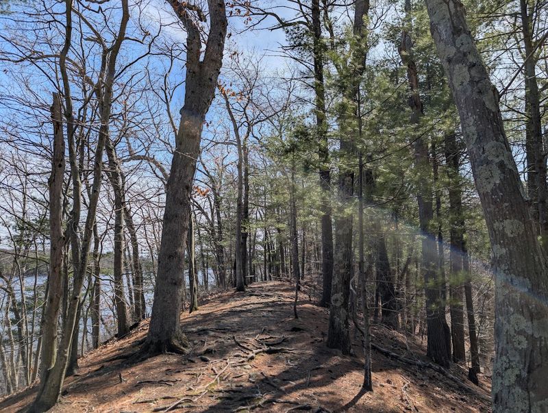 The Preserve’s Gentle Trails Make The Journey Easy To Follow