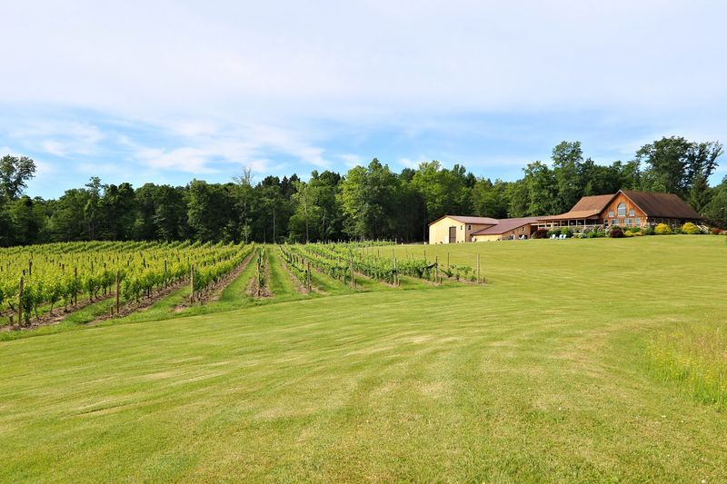 Buttonwood Grove Winery Cabins On Cayuga Lake