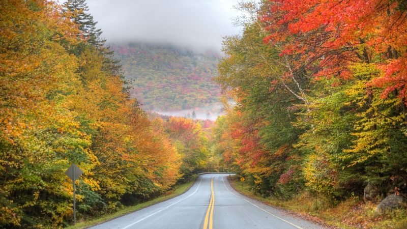 October: Mount Greylock State Reservation, Lanesborough