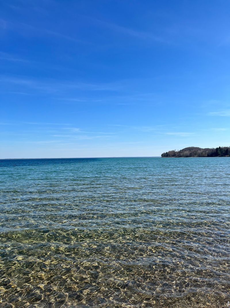 You Can Swim With Forested Shorelines Filling The Distance