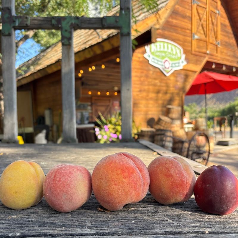 A New Generation Is Preparing The Orchard For Its Next Century