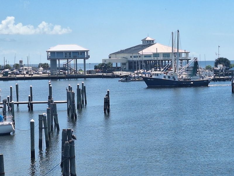 Shaggy's Pass Harbor