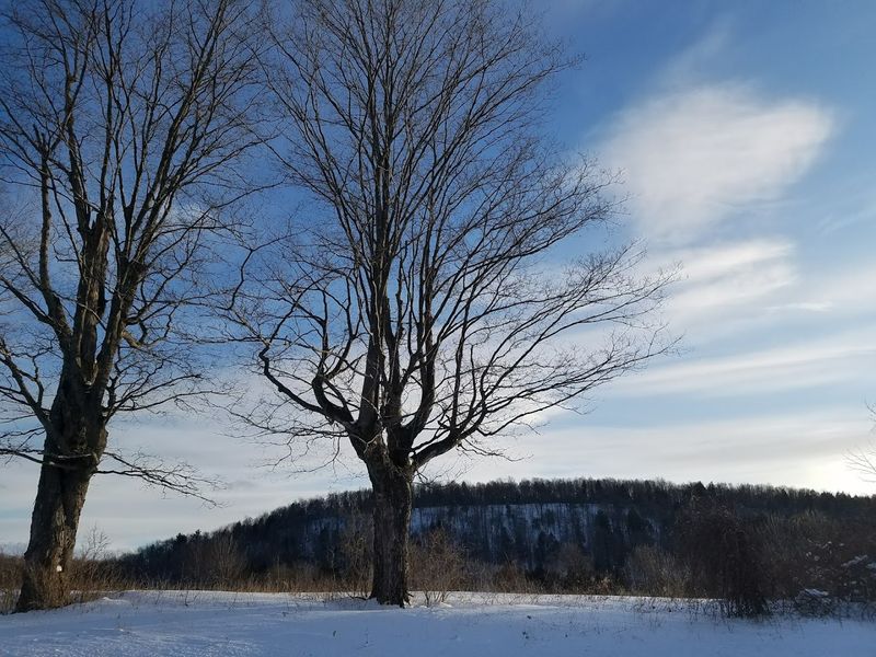 Richfield Springs