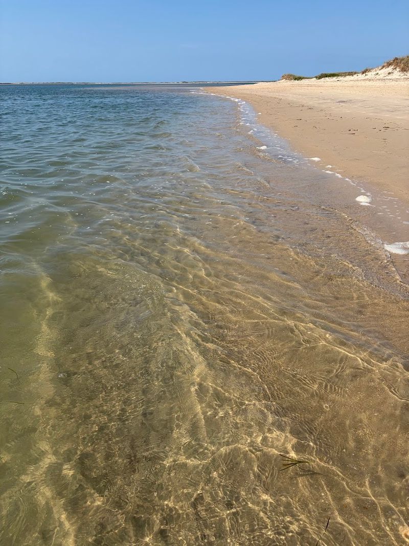 Swimming On Both Sides