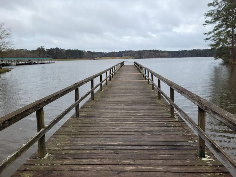 Percy Quin State Park