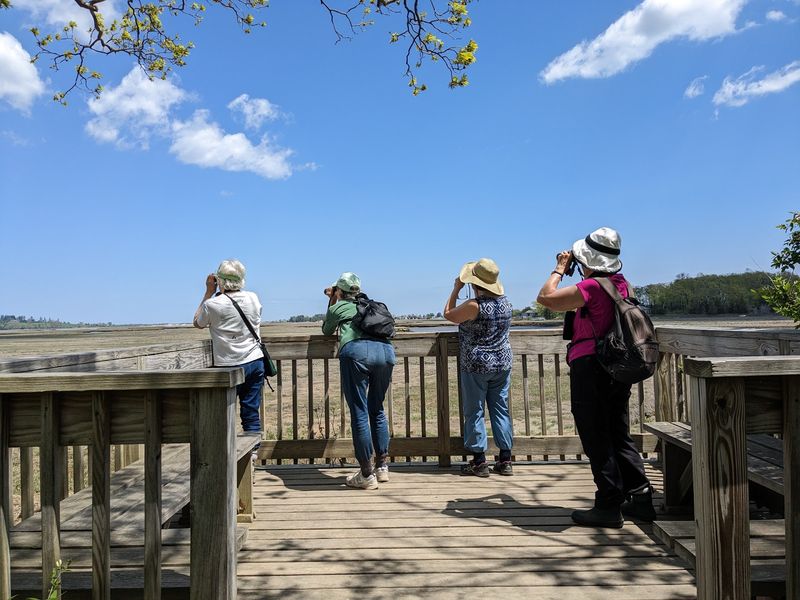 Walk Through Scenic History
