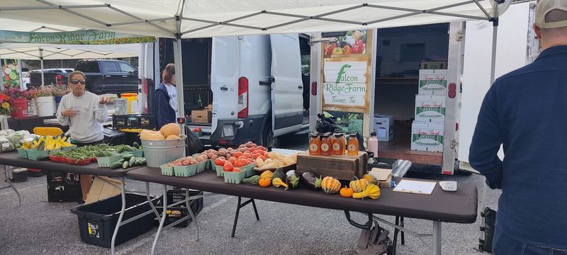 The Tomatoes That Started The Conversation