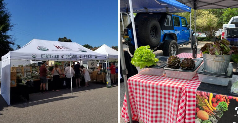 Show Up Early To This Tennessee Saturday Market Or Risk Missing The Veggies That Locals Say Beat Everything East Of The River