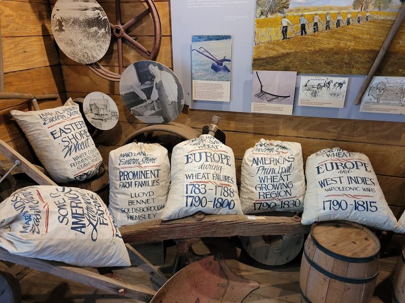 Traditional Grain Varieties Used For Milling