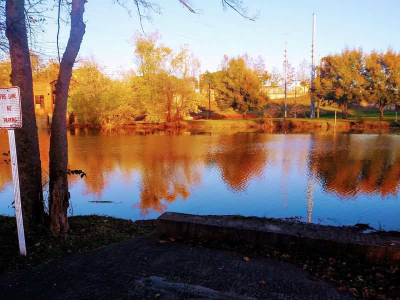 An Afternoon Made For Fishing And Picnicking