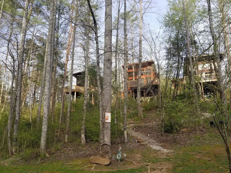 Living Trees Rise Straight Through Several Private Decks