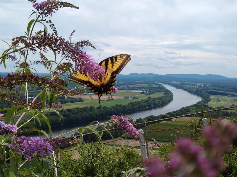 Mount Sugarloaf State Reservation, South Deerfield, Massachusetts