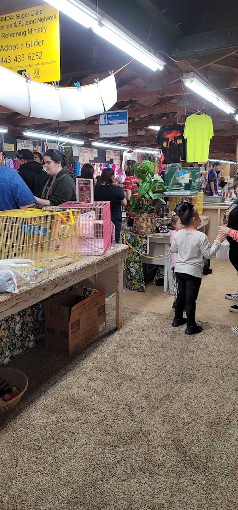 Why This Market Deserves A Full Weekend, Not Just An Afternoon