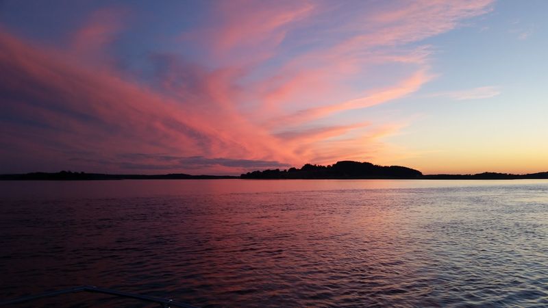 Plan Your Essex Day Trip