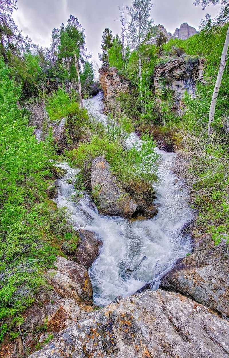 Waterfalls And Mountain Streams Line The Canyon Route