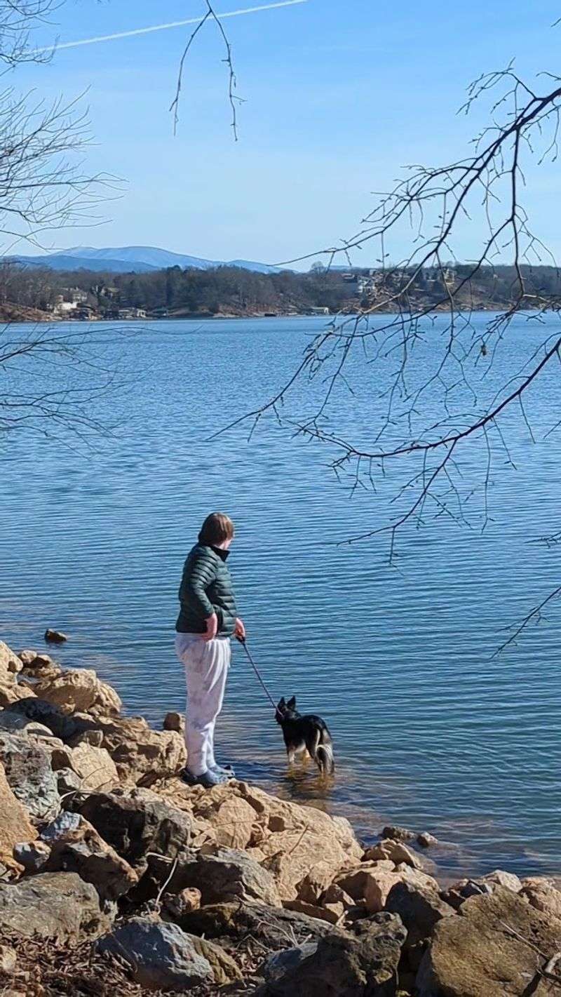 Tellico Lake