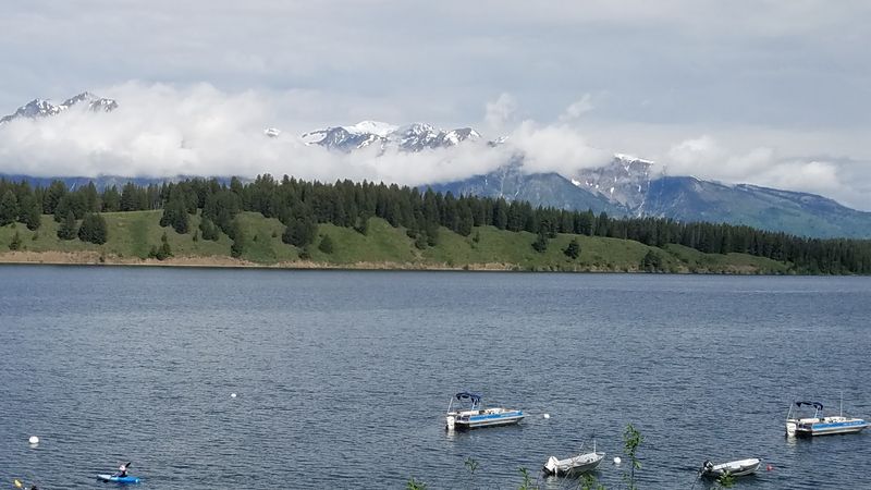 Guest Testimonials Reflecting Authentic Mountain Dining
