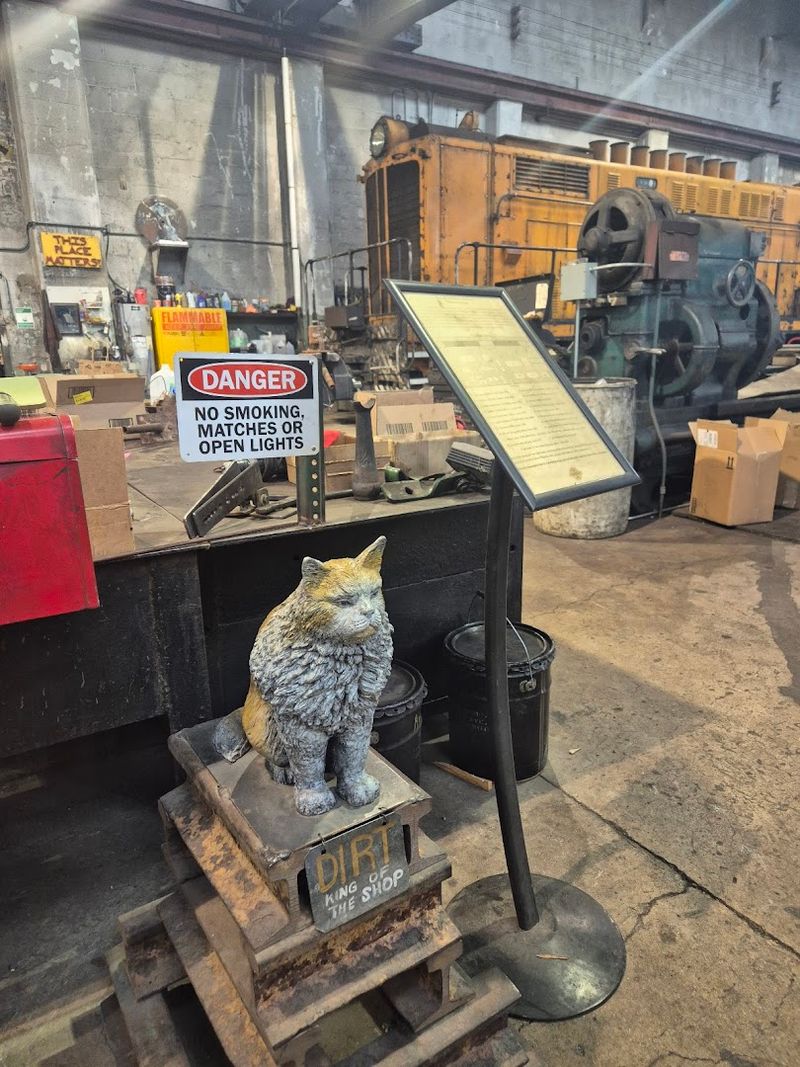 Meet Dirt, The Rail Yard Cat