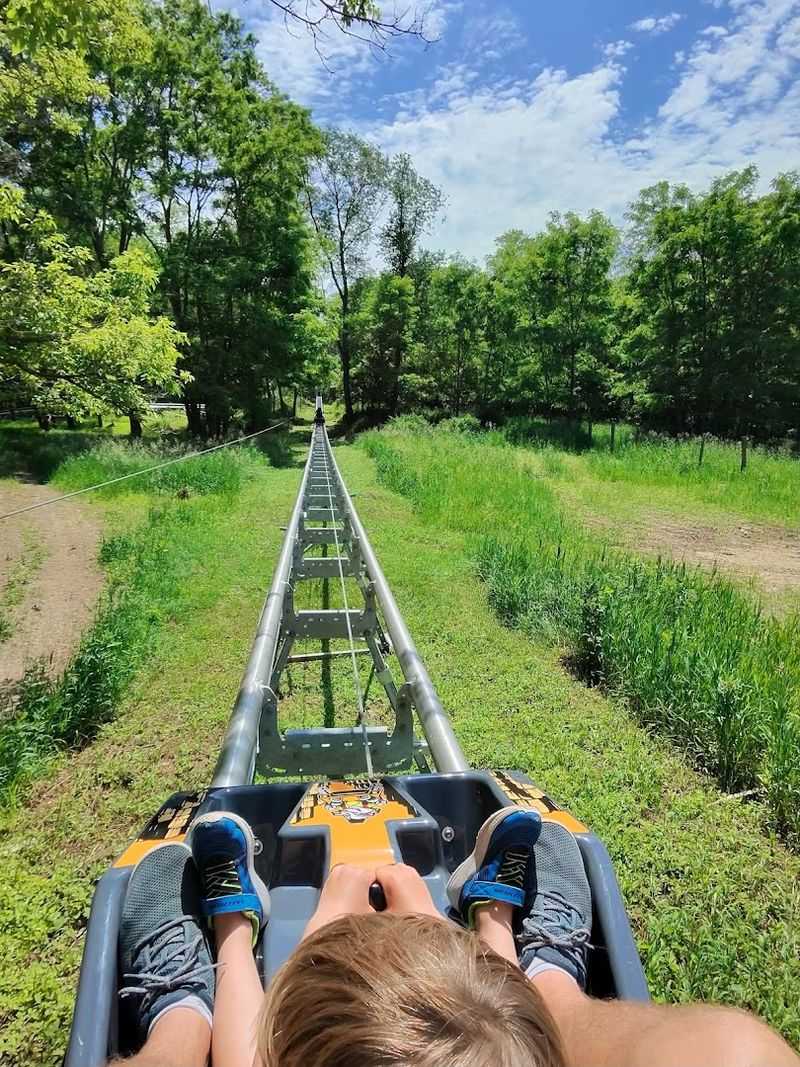 Two Ways To Experience The Ride