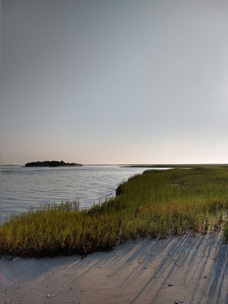 The Conservation Story Behind The Reserve