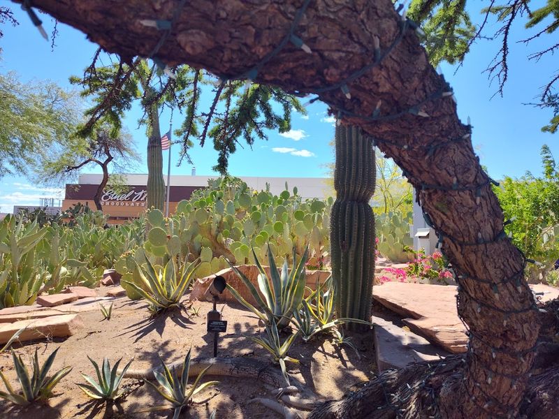 Sustainability Powers The Garden