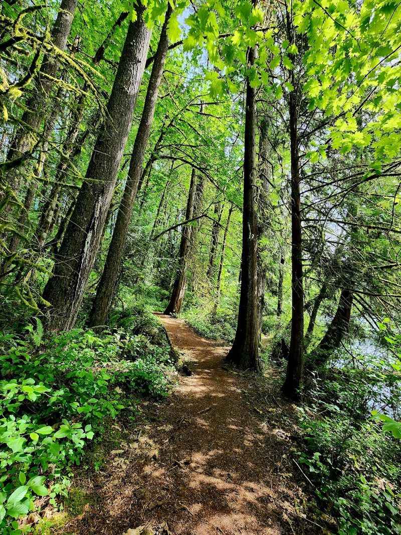 Trails That Circle, Climb, And Reward