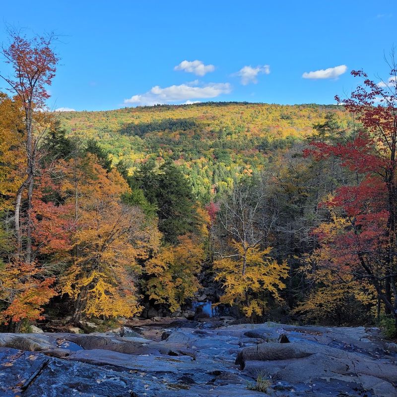 Autumn Foliage Turns This Spot Into A Painter's Dream