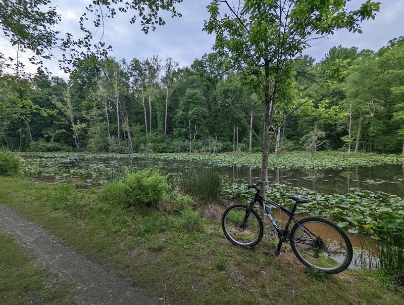 The Pomeroy Trail For Easy Strolling