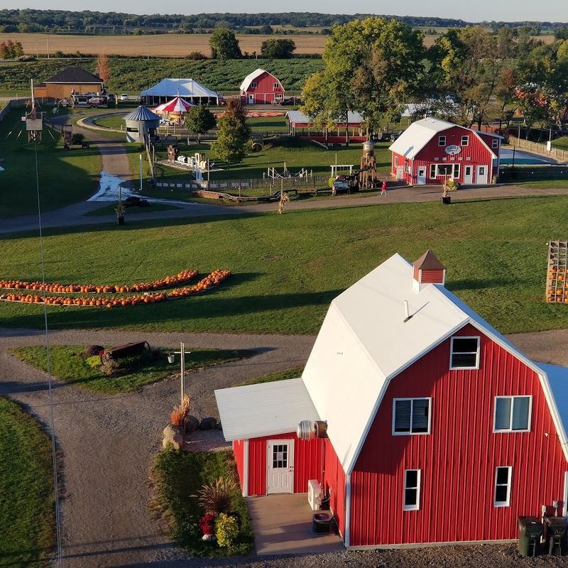 Pig Races and Barnyard Entertainment