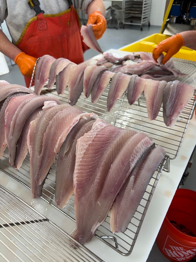 Lindal Fisheries